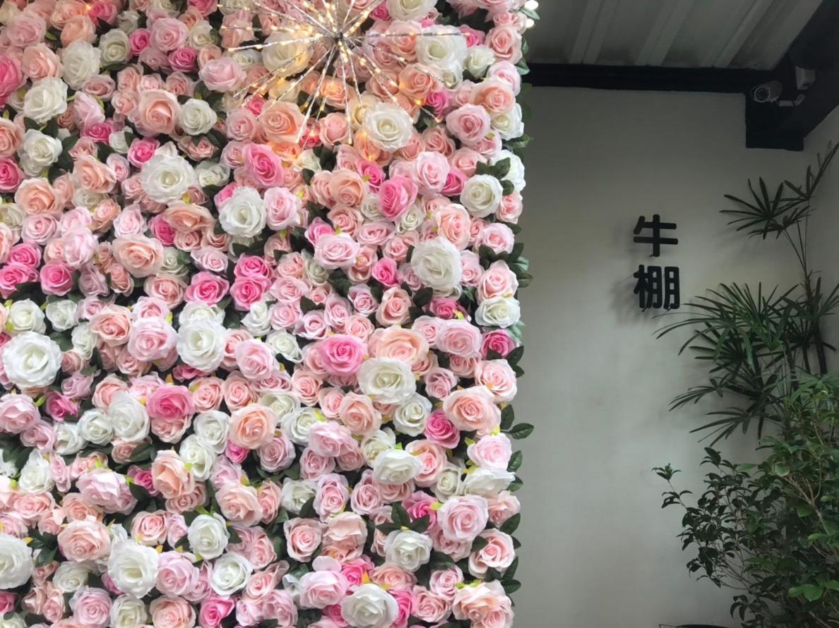 Donghai Cottage Backpack Inn Suite Lungcsing Kültér fotó